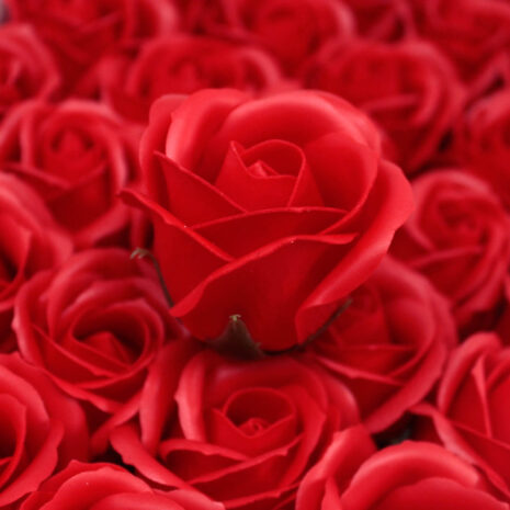 Bouquet de roses de savon rouges-5