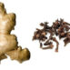 ginger-clove-soap-holali